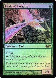 Birds of Paradise