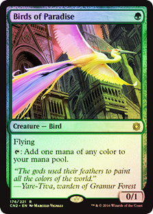 Birds of Paradise