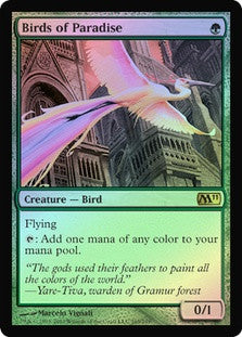 Birds of Paradise