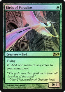Birds of Paradise