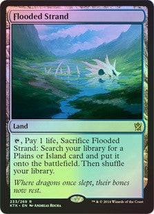Flooded Strand