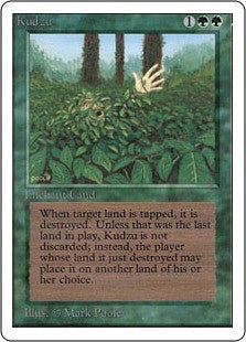Kudzu