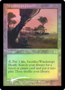 Windswept Heath