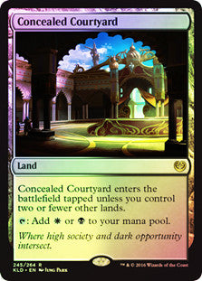 Concealed Courtyard