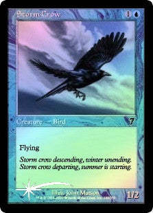 Storm Crow